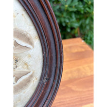 Load image into Gallery viewer, Vintage pressed butterfly and flower simple oval wood frame bubble glass