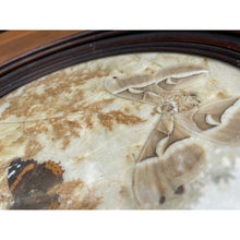 Load image into Gallery viewer, Vintage pressed butterfly and flower simple oval wood frame bubble glass