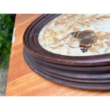 Load image into Gallery viewer, Vintage pressed butterfly and flower simple oval wood frame bubble glass