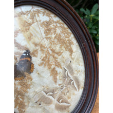 Load image into Gallery viewer, Vintage pressed butterfly and flower simple oval wood frame bubble glass