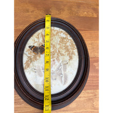 Load image into Gallery viewer, Vintage pressed butterfly and flower simple oval wood frame bubble glass