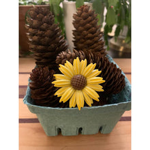 Load image into Gallery viewer, Vintage enamel daisy flower pin bright yellow 2" brooch