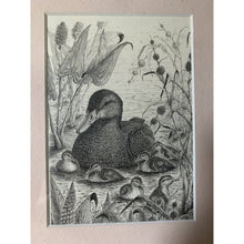 Load image into Gallery viewer, Maine marsh framed pen and ink Downeast print