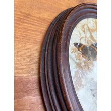 Load image into Gallery viewer, Vintage pressed butterfly and flower simple oval wood frame bubble glass
