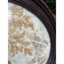 Load image into Gallery viewer, Vintage pressed butterfly and flower simple oval wood frame bubble glass
