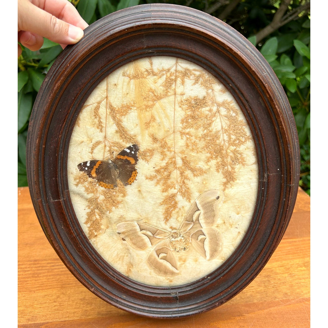 Vintage pressed butterfly and flower simple oval wood frame bubble glass