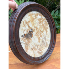 Load image into Gallery viewer, Vintage pressed butterfly and flower simple oval wood frame bubble glass
