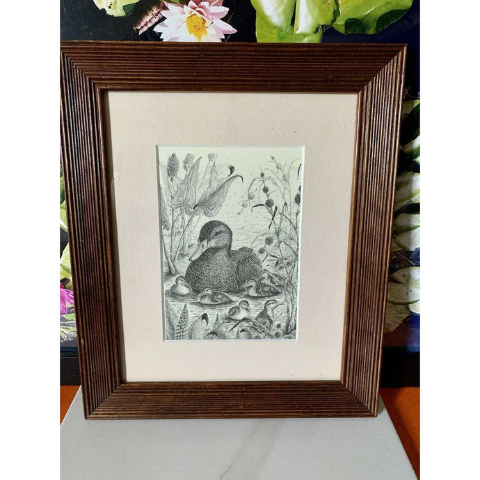 Vintage framed pen and ink print Maine art ducklings